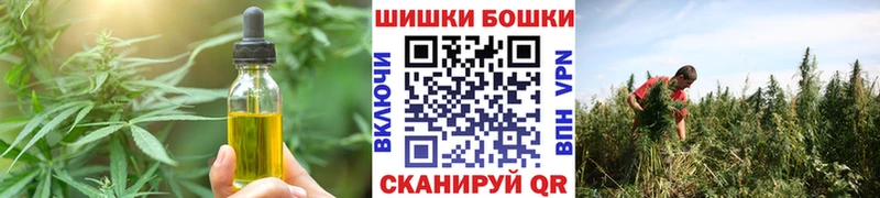 кракен рабочий сайт  shop формула  Cannafood конопля  Шилка 