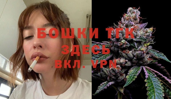 винт Лагань