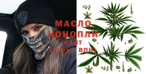 винт Лагань