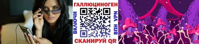 Галлюциногенные грибы Cubensis  Шилка 